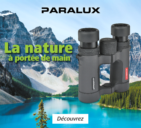 Paralux - Page Marque