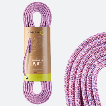 Corde Birdlime