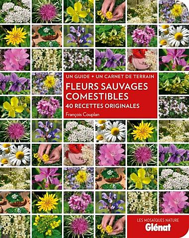 FLEURS SAUVAGES COMESTIBLES