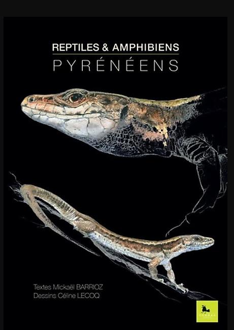 REPTILES ET AMPHIBIENS PYRENEENS