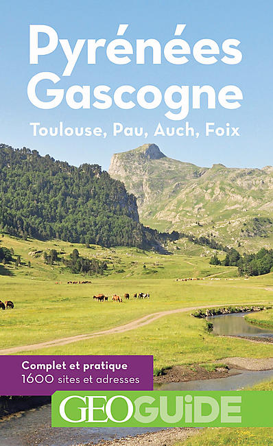GEOGUIDE PYRENEES GASGOGNE