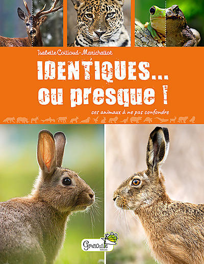 IDENTIQUES OU PRESQUE