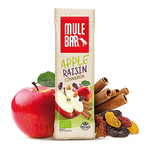 BARRE POMME RAISIN CANNELLE BIO