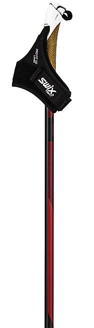 BATONS SKI NORDIQUE DYNAMIC D1