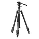TREPIED VESTA GO 264AV12 - VANGUARD