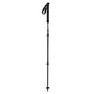 BATONS DE RANDONNEE FUJI CARBON - SUMMIT POLES