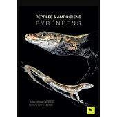 REPTILES ET AMPHIBIENS PYRENEENS