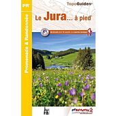 D039 LE JURA A PIED FFRP