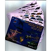 PLAQUETTES OCEAN INDIEN ET MER ROUGE