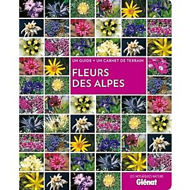 FLEURS DES ALPES