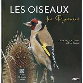 LES OISEAUX DES PYRENEES