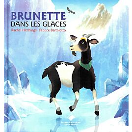 BRUNETTE DANS LES GLACES