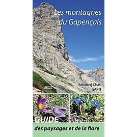 LES MONTAGNES DU GAPENCAIS