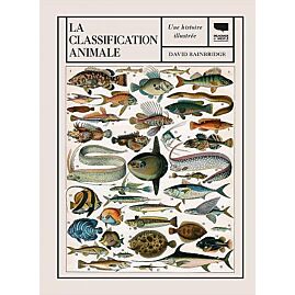 LA CLASSIFICATION ANIMALE