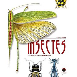 INSECTES LE GRAND LIVRE DU MINUSCULE
