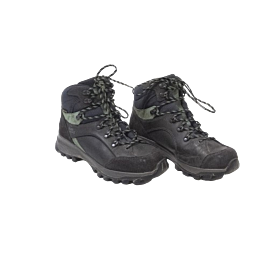 Alta bunion GTX