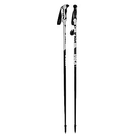 BATONS SKI ALPIN SR