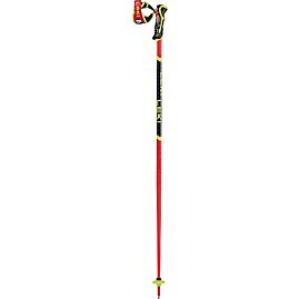 BATONS DE  SKI WCR SL 3D