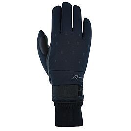 GANTS EHRWALD W