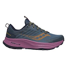 CHAUSSURES DE TRAIL RIDE TR 2  GTX W