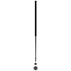 BATONS SKI PANTHERE NOIRE