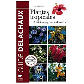 PLANTES TROPICALES