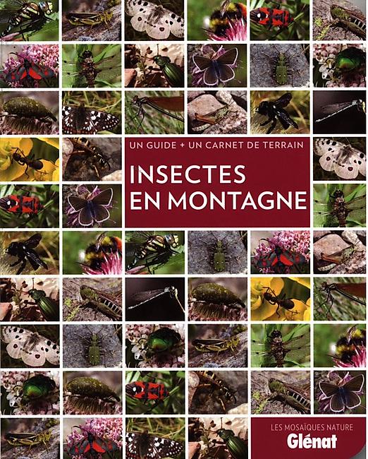 INSECTES EN MONTAGNE